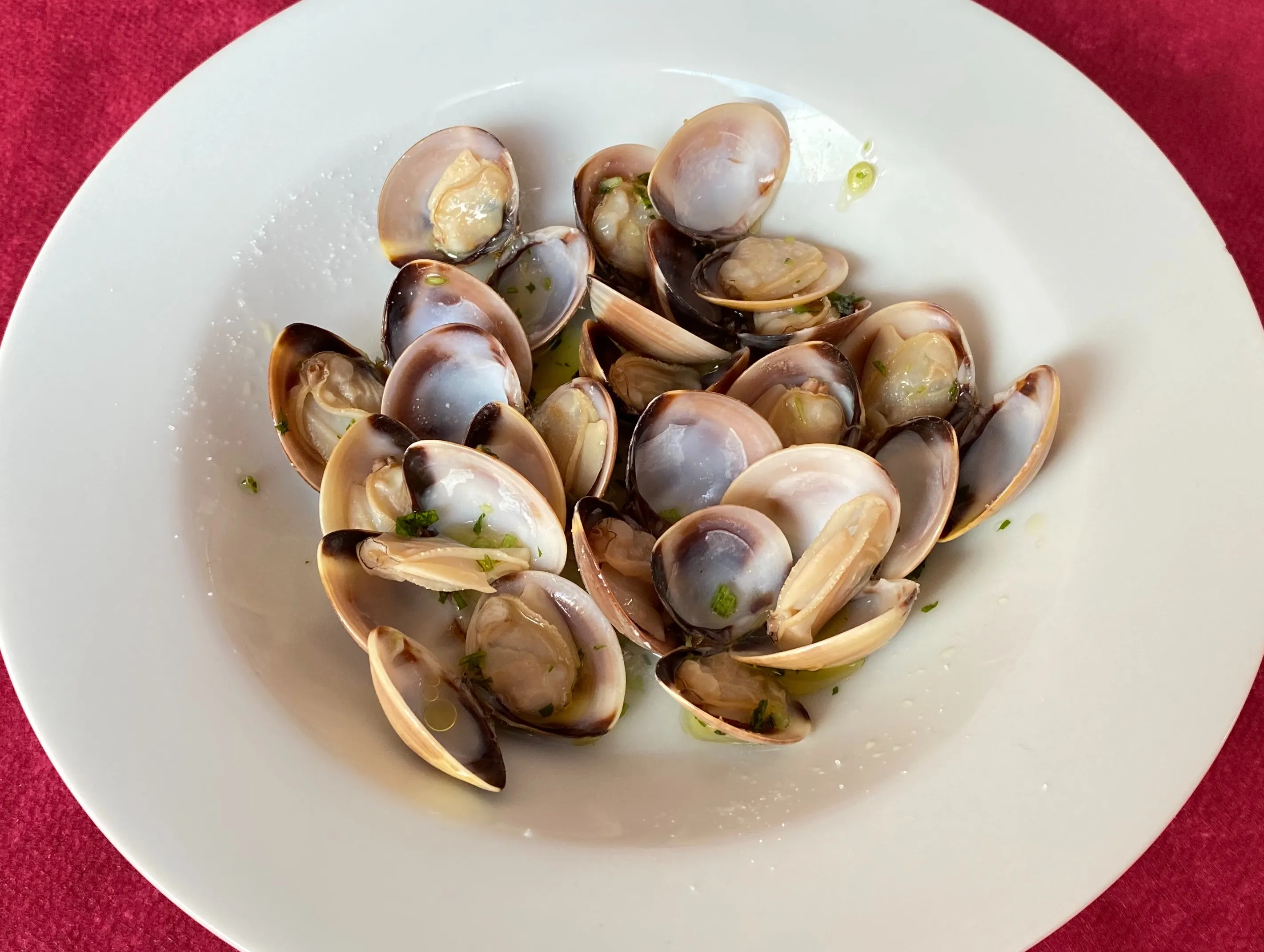 Almejas
